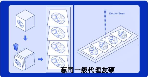 拉萨蔡司拉萨扫描电镜