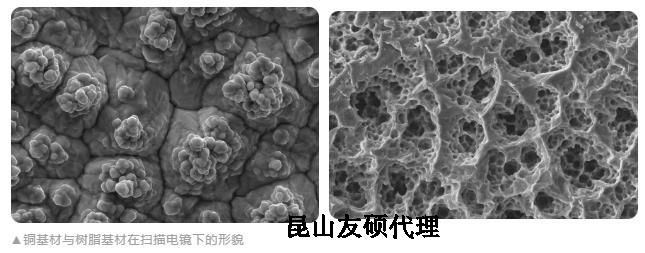 拉萨蔡司拉萨扫描电镜